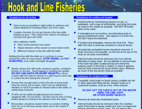 SEA TURTLE HANDLING / RELEASE GUIDELINES CHART