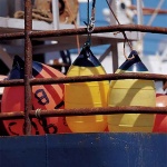 LD-Polyform2.jpg LD-Polyform2.jpg